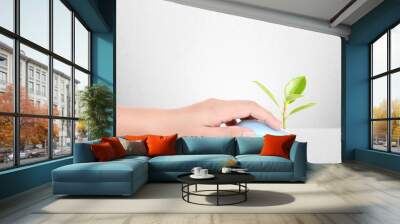 hands using mouse with plant Wall mural