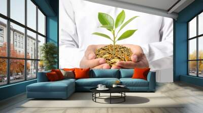 Investing to green business Wall mural