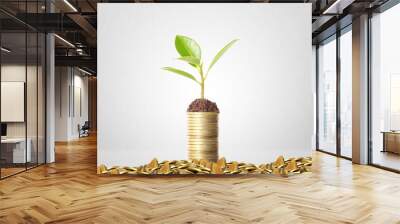 plant on gold coins and  graph them Wall mural