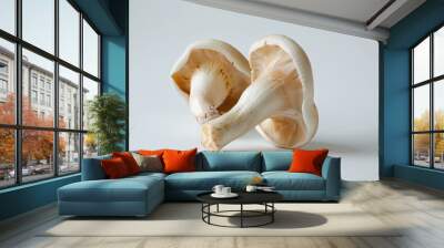 ear mushroom on white background Wall mural