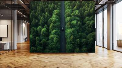 Aerial view of a car driving along a scenic road through a lush green forest, showcasing the beauty and tranquility of nature Wall mural