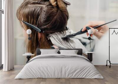 Young professional hairdresser applying dye on clients hair Wall mural