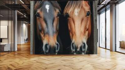 Two horses looking out from wooden stable door Wall mural