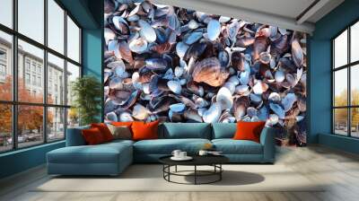 Seashell on the beach natural background Wall mural