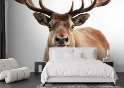 there is a deer with large horns standing in front of a white background Wall mural