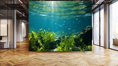 Green algae background in nature, ocean bottom Wall mural