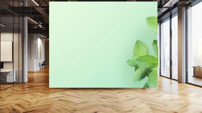 Mint leaves on light green background with copy space Wall mural