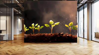 Seedlings growing on soil Wall mural