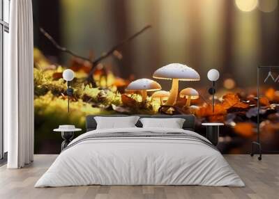 Small mushrooms, ecosystem, highlighting the richness of life in the bush Wall mural