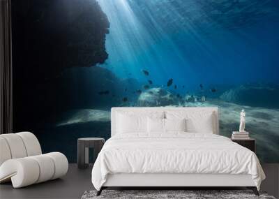 light rays and fish Wall mural