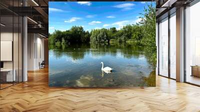 A swan glides on a serene lake surrounded by lush greenery under a blue sky with scattered clouds. The peaceful scene reflects beautifully on the water's in, Lady Wood Lakes, Mirfield, UK Wall mural