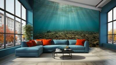 underwater sunr rays Wall mural