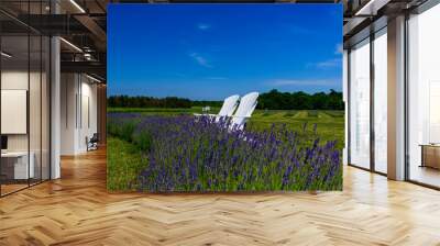 two white chairs in lavender field Wall mural