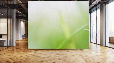 abstract blurry background of green environment. concept - clean environment Wall mural