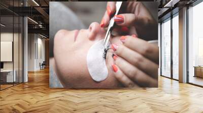 Process of eyelash extensions in the beauty studio. Process close up. Beauty and care for yourself. Soft matte effect Wall mural