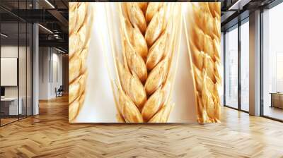 Wheat ears on white background Wall mural