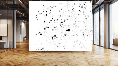 Grainy grunge abstract texture on a white background. Paint spray, drop. Black ink blow explosion on white background. Splatter of calligraphy ink in black on white background. Vector. Wall mural