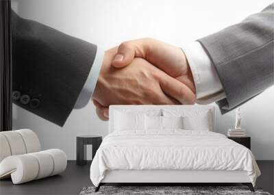 business handshake isolated on white Wall mural