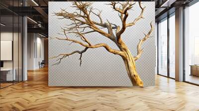 tree branches without leaves on a white background
 Wall mural