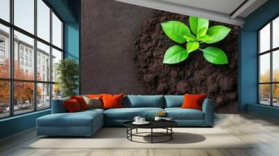 A young green plant grows from rich, dark soil, symbolizing new beginnings and the beauty of nature. Wall mural