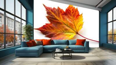 A Single Vibrant Autumn Leaf Against a Crisp White Background, Capturing the Rich, Bold Colors and Intricate Patterns That Embody the Essence of Autumn’s Beauty. Wall mural