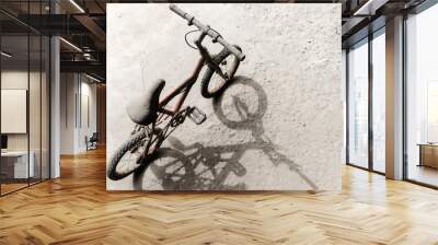 dirty small bicycle Wall mural