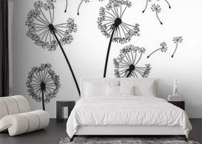 Dandelion wind blow background. Black silhouette with flying dandelion buds on white. Abstract flying seeds. Decorative graphics for printing. Floral scene design Wall mural