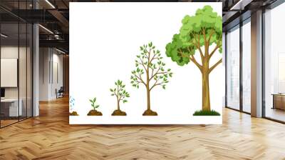 Stages growth of tree from seed. Watering the plants. Collection of trees from small to large. Green tree with leaf growth diagram. Business cycle development Wall mural