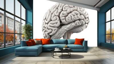 3D illustration of realistic human brain on isolated white background. Generative AI Wall mural