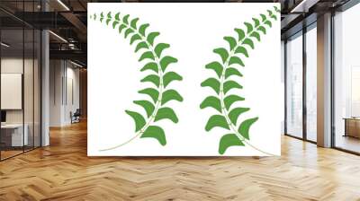 two laurel wreaths with leaves tree branch on them icon design, green floral leaf  frame set,  Wall mural