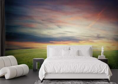 Small road in the countryside with green grass at sunset Wall mural