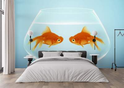 Two goldfish  falling in love Wall mural