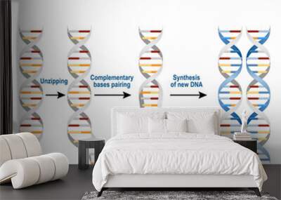 Steps of DNA replication Wall mural