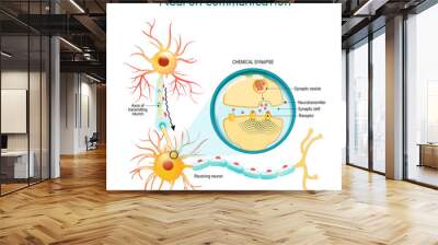 Transmission of the nerve signal between two neurons with axon and synapse. Close-up of a chemical synapse Wall mural