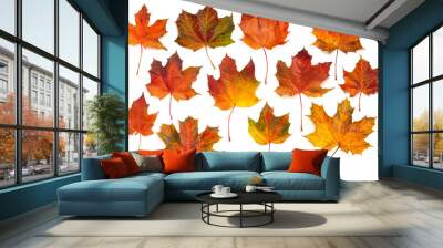 Autumn maple leaves collection Wall mural