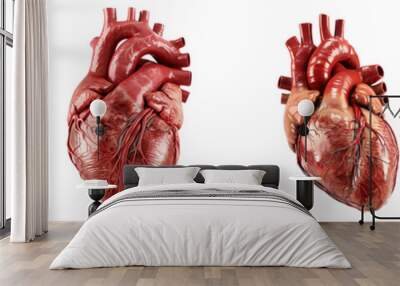 Set of realistic human heart isolated on transparent and white background Wall mural