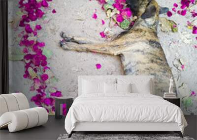 pink rose petals on a wooden background Wall mural