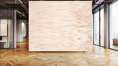 The texture of birch bark. Background of birch bark. Red birch bark. The texture of white birch bark. Wall mural