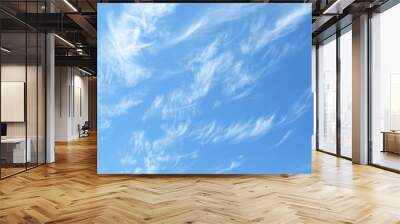 blue sky Wall mural