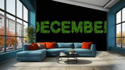 Beautiful illustration of December text with green grass effect on plain black background Wall mural