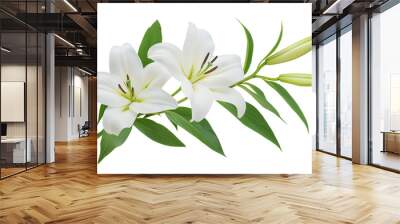 A branch of lily with leaves on white background Wall mural