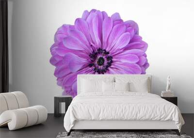 Big purple flower isolated on white background Wall mural