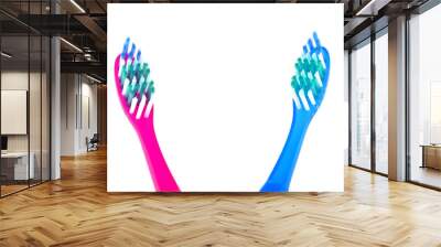 Two tooth-brushes Wall mural