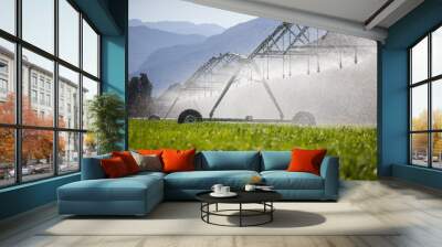 Close up image of a center pivot on a green field of wheat, providing irrigation to the crops Wall mural