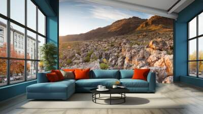 Wide angle landscape images of the Cederberg Mountains in the western cape of south africa Wall mural