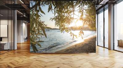 Olive trees, sea and sunset Wall mural