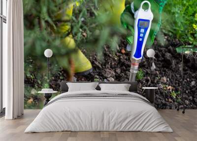 PH meter tester in soil. Measure soil with digital device. Wall mural