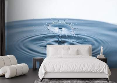 Beautiful splash of Water Drop. Freeze action Wall mural