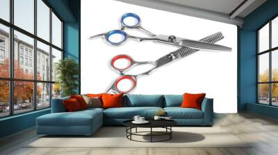 Two Pairs of Barber Scissors Wall mural