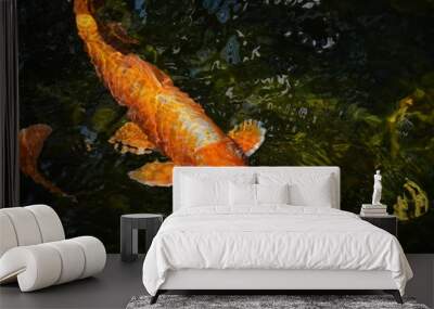 fish swimming in the pond Wall mural